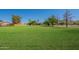 Lush green front yard with mature trees providing a serene setting for this beautiful single story home at 3738 E Hash Knife Draw Rd, Queen Creek, AZ 85140