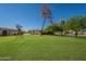 Expansive front yard with lush green grass, mature trees, and a vintage windmill, creating a serene country setting at 3738 E Hash Knife Draw Rd, Queen Creek, AZ 85140