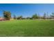 Spacious green front yard with mature trees offering shade to this charming ranch-style home at 3738 E Hash Knife Draw Rd, Queen Creek, AZ 85140
