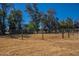 Fenced horse pen with a view of mature trees at 3738 E Hash Knife Draw Rd, Queen Creek, AZ 85140