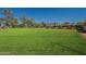 Large green field, possibly suitable for horses, with an area for stalls and cover from the sun at 3738 E Hash Knife Draw Rd, Queen Creek, AZ 85140
