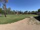 Expansive grassy backyard features mature trees and outdoor structures, ideal for recreation and livestock at 3738 E Hash Knife Draw Rd, Queen Creek, AZ 85140