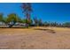 Large fenced yard with mature trees at 3738 E Hash Knife Draw Rd, Queen Creek, AZ 85140