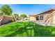 A lush backyard featuring a vibrant green lawn and serene landscaping at 6808 W Angela Dr, Glendale, AZ 85308