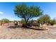Welcoming community entrance with stone signage, lush landscaping, and a paved roundabout at 8555 E Tecolote Cir, Scottsdale, AZ 85266