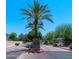 Street view with palm tree island at entrance to a residential community at 1367 S Country Club Dr # 1167, Mesa, AZ 85210