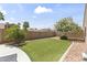 Well-maintained backyard featuring lush artificial grass, mature trees, and a decorative rock border at 15011 S 27Th Pl, Phoenix, AZ 85048