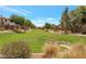 Enjoy lush green space, mature trees, and walking paths in this community park setting at 15446 W Jenan Dr, Surprise, AZ 85379