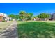 Expansive community green space with mature trees and walking path at 1726 W Claremont St, Phoenix, AZ 85015