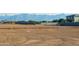 Flat, graded lot ready for building, with block wall in the background at 4961 W Walatowa St, Laveen, AZ 85339