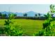 Serene community green space with mountain views and mature trees at 5019 W Walatowa St, Laveen, AZ 85339