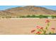 Large vacant lot with mountain views in the distance at 5019 W Walatowa St, Laveen, AZ 85339
