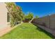 Lush backyard featuring vibrant green grass and mature trees, perfect for outdoor enjoyment and relaxation at 8104 S 73Rd Dr, Laveen, AZ 85339