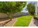 Lush backyard featuring greenery, a tree and privacy wall at 8104 S 73Rd Dr, Laveen, AZ 85339