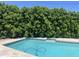Beautiful in-ground pool is surrounded by mature landscaping for privacy at 8520 E Mackenzie Dr, Scottsdale, AZ 85251