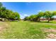 Lush, open green area adorned with mature trees, perfect for leisurely activities and community gatherings at 870 E Megan St, Gilbert, AZ 85295