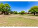 Expansive green space, ideal for recreation, with mature trees creating a serene environment at 870 E Megan St, Gilbert, AZ 85295