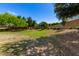 Well-maintained green space providing a tranquil setting for relaxation and community enjoyment at 870 E Megan St, Gilbert, AZ 85295