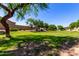Beautiful greenbelt view with mature trees enhancing the natural landscape at 870 E Megan St, Gilbert, AZ 85295