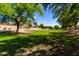 Picturesque view of a greenbelt framed by mature shade trees at 870 E Megan St, Gilbert, AZ 85295