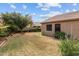 Well-manicured lawn featuring mature trees and lush greenery at 11405 W Windsor Ave, Avondale, AZ 85392