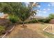 Backyard features a large shade tree with green shrubbery and a partially shaded lawn at 11405 W Windsor Ave, Avondale, AZ 85392