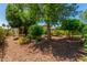 Lush backyard featuring mature trees, manicured shrubs, and serene landscaping at 30135 N 129Th Gln, Peoria, AZ 85383