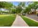 A picturesque neighborhood street lined with mature trees and sidewalks at 3443 E Jasper Dr, Gilbert, AZ 85296