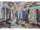 Organized walk-in closet featuring clothing racks, storage bins, and shelving for efficient organization at 3488 S Bowman Rd, Apache Junction, AZ 85119