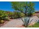 Backyard featuring desert landscaping, mature trees, gravel and privacy at 5336 E Gloria Ln, Cave Creek, AZ 85331