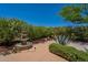 Desert landscaping in the backyard featuring a water fountain and mature trees at 5336 E Gloria Ln, Cave Creek, AZ 85331