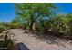 Serene backyard with desert landscaping, mature trees, and comfortable seating area at 5336 E Gloria Ln, Cave Creek, AZ 85331