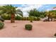 Expansive backyard with desert landscaping, including gravel, mature trees, and green shrubbery at 5536 E Gable Ave, Mesa, AZ 85206