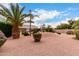 Wide shot of backyard, palm trees, well-maintained desert landscaping, and a glimpse of the home at 5536 E Gable Ave, Mesa, AZ 85206