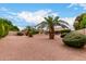 Wide shot of a lush backyard featuring desert landscaping, mature palm trees, and manicured shrubbery at 5536 E Gable Ave, Mesa, AZ 85206