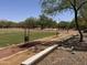 Well-maintained park area with trees, walking paths and grass lawns at 6914 W Juana Dr, Peoria, AZ 85383