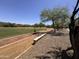 Picturesque park area features walking paths and lush greenery at 6914 W Juana Dr, Peoria, AZ 85383