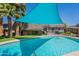 Outdoor pool surrounded by lush greenery, offering a serene and inviting escape for relaxation and recreation at 8307 E Buena Terra Way, Scottsdale, AZ 85250