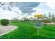 Recreational disc golf basket on a green lawn with desert landscaping and cloudy skies at 1659 N Channing --, Mesa, AZ 85207