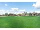 Expansive grassy area with clubhouse, gazebo and lush landscaping offers great space for community activities at 1659 N Channing --, Mesa, AZ 85207