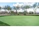 A well maintained putting green with manicured artificial turf and desert landscaping at 1659 N Channing --, Mesa, AZ 85207