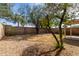 Backyard featuring desert landscaping, a block wall, mature trees and a covered patio at 2153 E Crest Ln, Phoenix, AZ 85024
