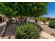 Landscaped front yard with a shady tree and trimmed shrubbery near the home at 2400 E Baseline Ave # 169, Apache Junction, AZ 85119