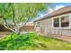 Well-maintained backyard with vibrant green grass, shade tree, and a small dining set at 30285 W Leah Dr, Buckeye, AZ 85396