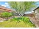 Spacious backyard featuring a lush green lawn, shade tree, and decorative brick border at 30285 W Leah Dr, Buckeye, AZ 85396
