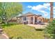 Expansive backyard featuring a lush green lawn, patio area with seating, and mature palm trees at 30285 W Leah Dr, Buckeye, AZ 85396