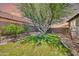 Private backyard with lush lawn, mature landscaping, and an inviting space to enjoy the outdoors at 30285 W Leah Dr, Buckeye, AZ 85396