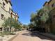 Charming street view lined with lush trees and well-maintained buildings at 5350 E Deer Valley Dr # 3267, Phoenix, AZ 85054
