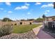 Lush backyard featuring a well-maintained lawn, desert plants, and a refreshing pool, perfect for outdoor relaxation at 7464 E Lompoc Ave, Mesa, AZ 85209