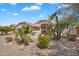 Charming single-story home boasts meticulous desert landscaping with beautiful palm trees at 7464 E Lompoc Ave, Mesa, AZ 85209